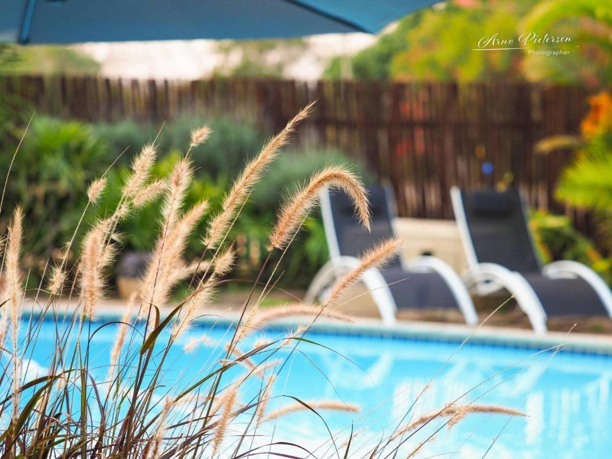 Fever Tree Guesthouse Hillcrest Esterno foto