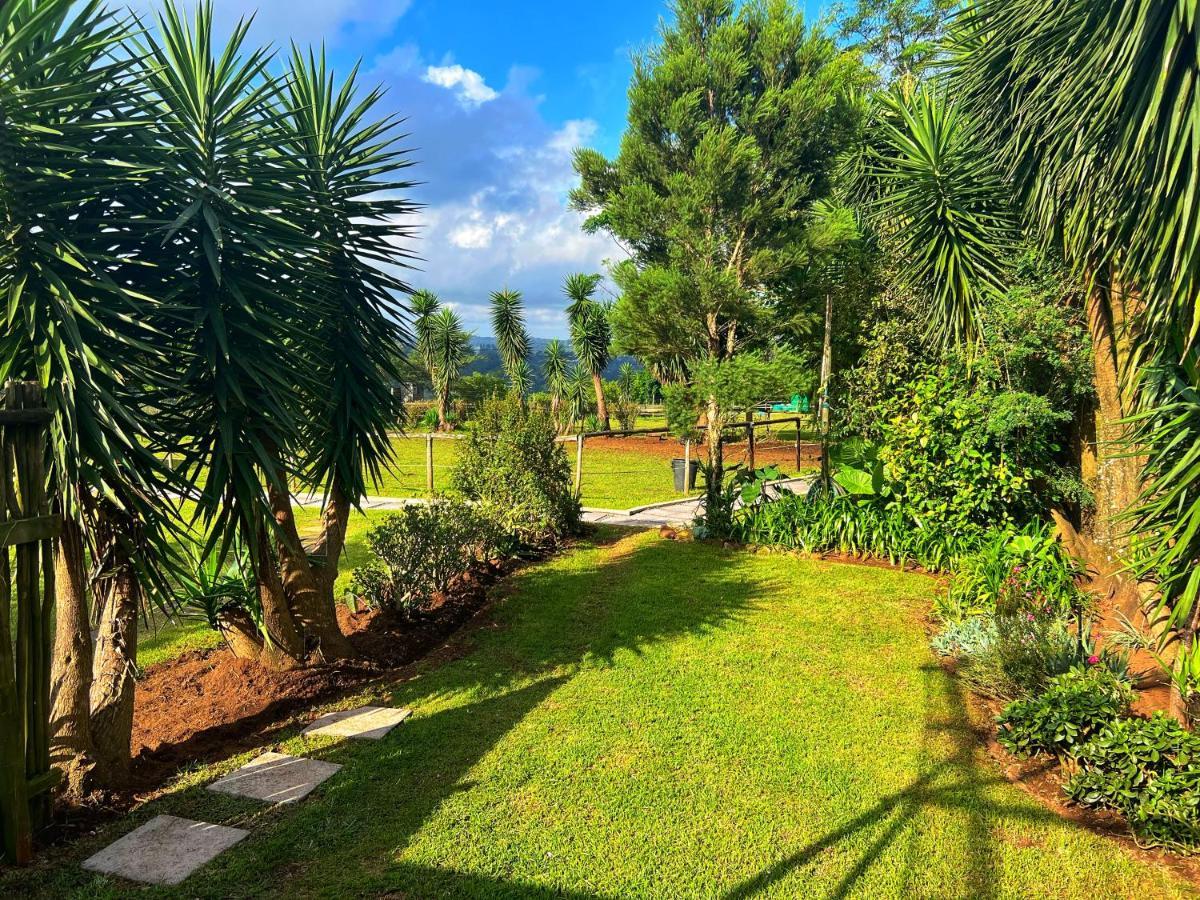 Fever Tree Guesthouse Hillcrest Esterno foto