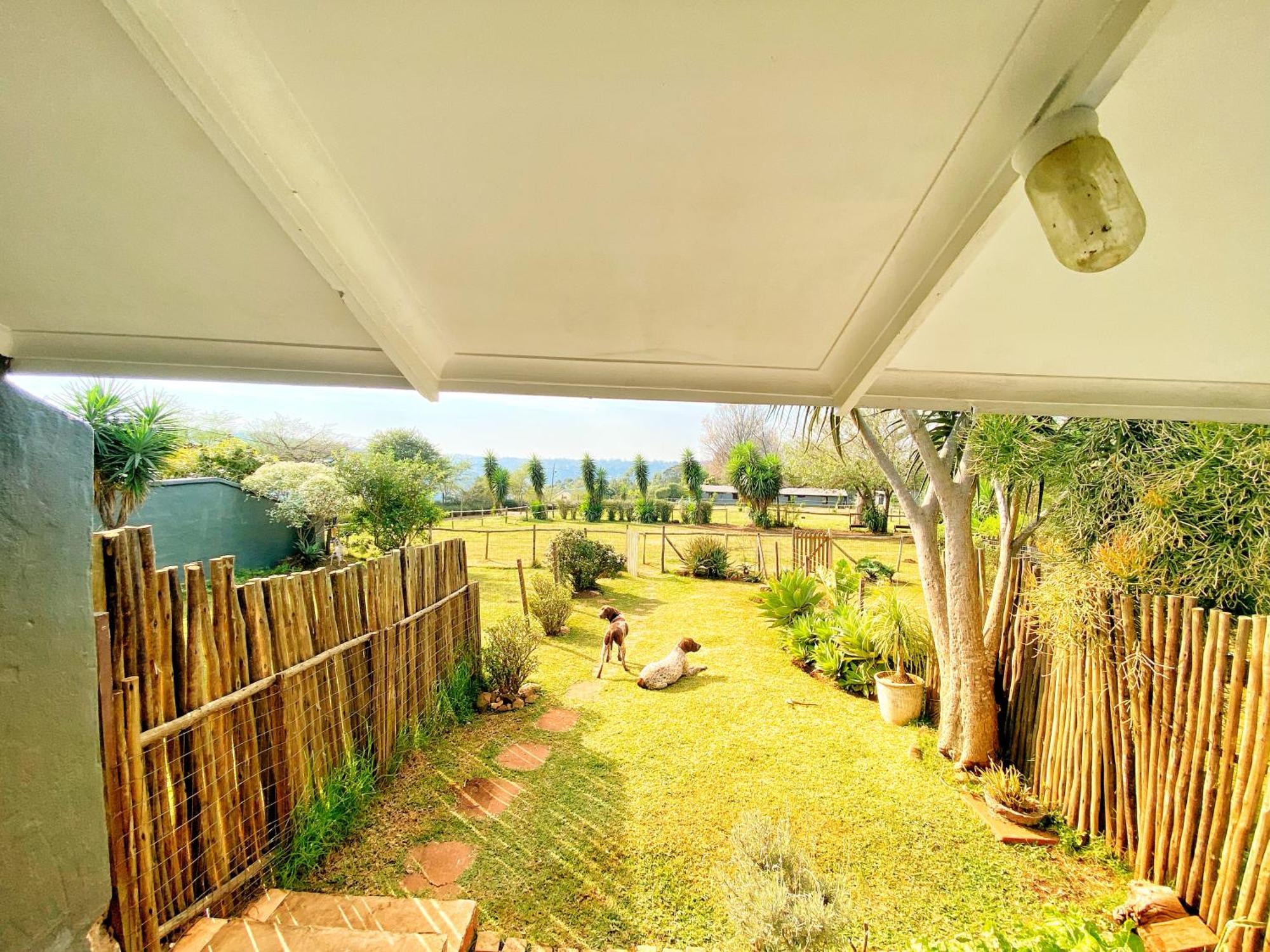 Fever Tree Guesthouse Hillcrest Esterno foto